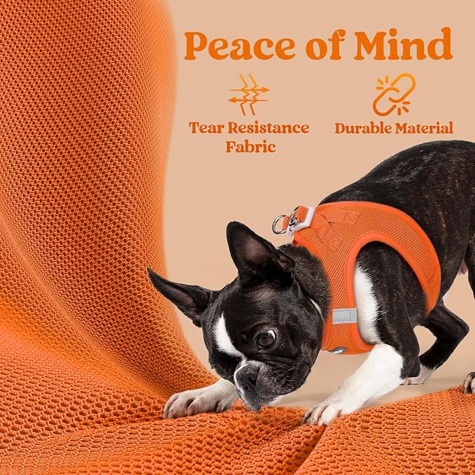 rabbitgoo Step-in Small Dog Harness, Puppy Vest for Small Sized Pet | Easy Put on and off, Lightweight, Soft, Breathable Quick-Dry Air Mesh for Comfortable Secure Walking, Orange M