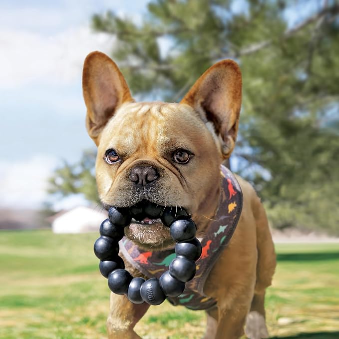 KONG Extreme Ring, Durable Natural Rubber Chew Toy, for XL Dogs | Made from KONG Durable Natural Rubber, a Ring Toy That Supports Healthy Chewing, Dental Health & Play Instincts