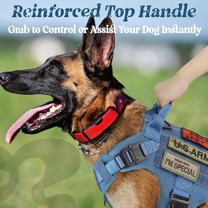 rabbitgoo Tactical Dog Harness for Small, Heavy Duty Military No Pull Vest | Sturdy Metal Buckles, 5 Adjustments, Molle System, Powerful Pullers for Training, Hunting, Outdoor, Blue, Small