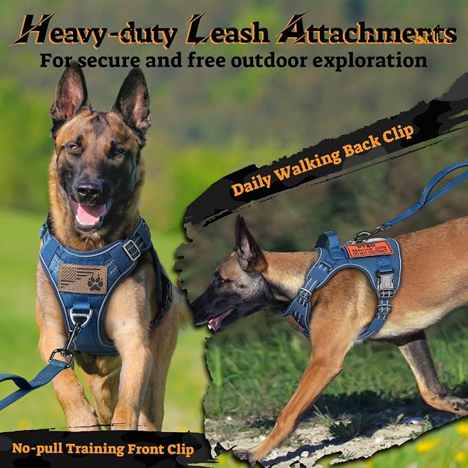 rabbitgoo Tactical Dog Harness Medium Sized, No Pull Service Pet Vest | Military Molle System & Easy Control Handle, Adjustable and Reflective for Walking and Training, Blue, Medium