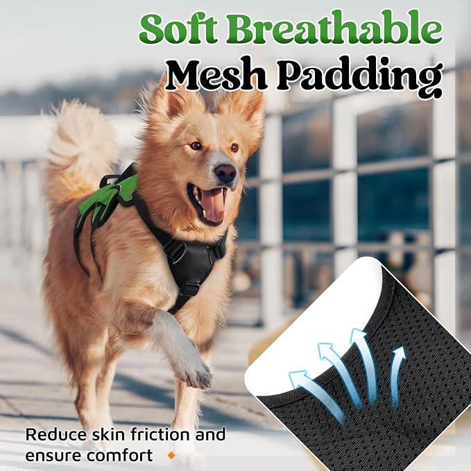 rabbitgoo Escape Proof Dog Harness for X-Large, No Pull with Lift Handle | No Escape, Full Soft Padded, Reflective Adjustable Vest, Leash Clip for Walking Hiking Training, Green, X-Large