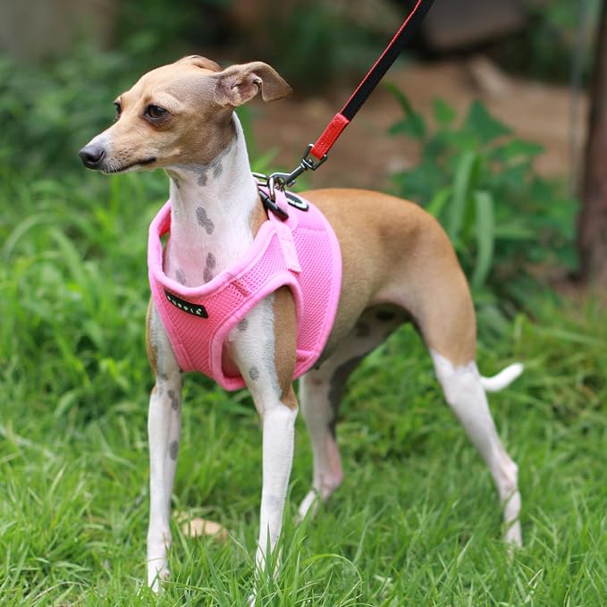 PUPPIA International Puppia Harness Soft B Vest Pink Large