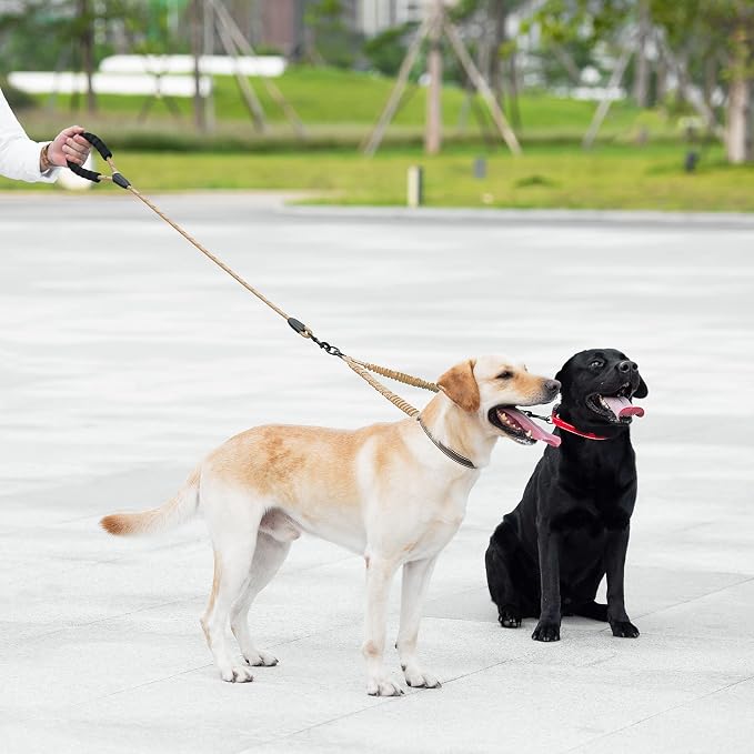 iYoShop Double Dog Leash, 360° Swivel, No Tangle, Large, 25-150 lbs, Khaki | Dual Leash for Two Dogs, Split Leash, Shock-Absorbing Bungee, Padded Handle, Heavy-Duty Rope