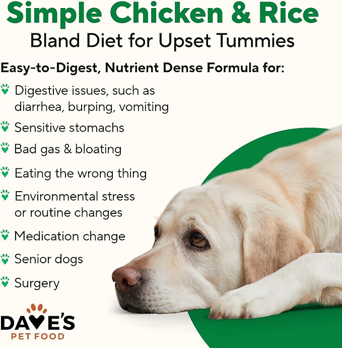 Dave's Pet Food Bland Dog Food for Sensitive Stomachs, Lamb & Rice 13.2 oz