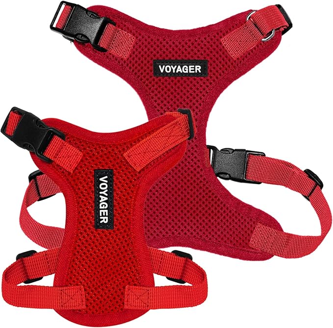 Voyager Step-in Lock Dog Harness - Red, Small | 15 - 18" in Chest, Adjustable, Breathable Air Mesh, Lightweight for Daily Walks, Strong Clips, Heavy Duty D-Ring