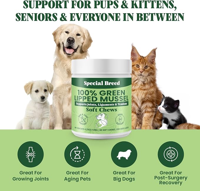 Special Breed Green Lipped Mussel for Dogs & Cats - 60 Soft Chews - New Zealand Green Lipped Mussels - Natural Hip & Joint Supplement for Joints, Tendons, Ligaments, Muscles