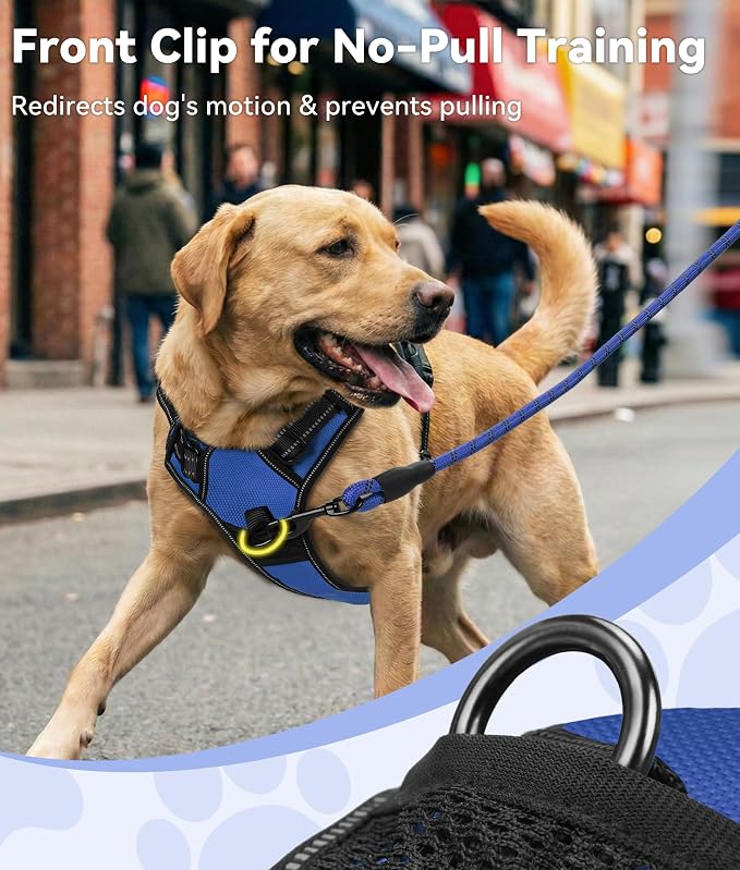 Joytale No Pull Dog Harness for Small Dogs, Front Clip, Navy Blue | Grab Handle for Instant Control, Padded & Adjustable Vest, Sturdy Metal D-Rings, for Safe Training & Daily Walking