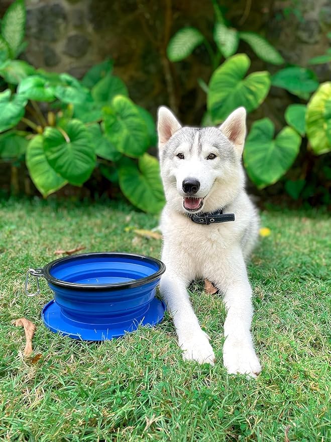 Tuff Pupper SuperBigSlurp Collapsible Dog Bowls, Two Pack, Blue, 60oz