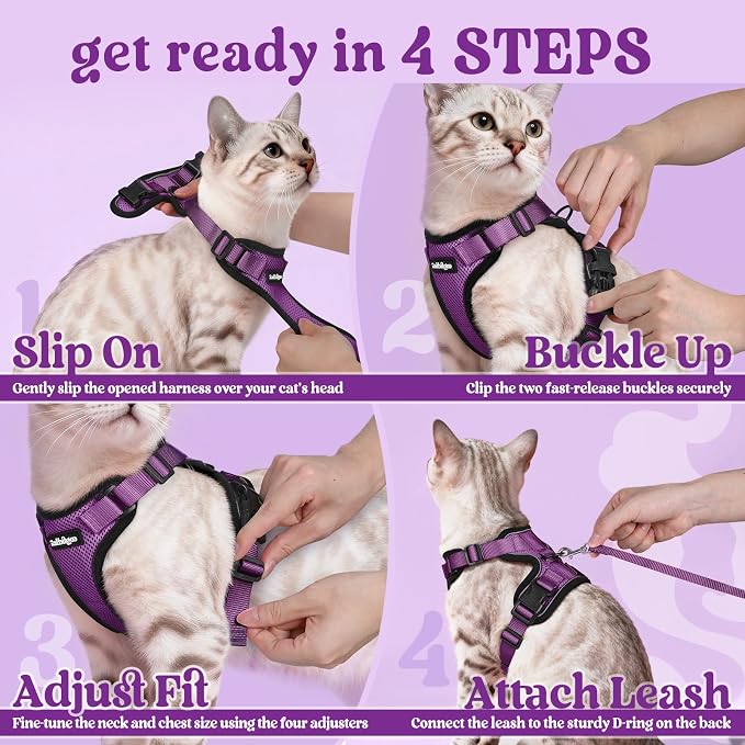 rabbitgoo Cat Harness and Leash Set, Escape Proof Vest, Purple | Soft Breathable Mesh, Easy Adjustable Fit, Snap Buckles, Sturdy Clip, Reflective Strips, for Medium to Large Cats Walks, M