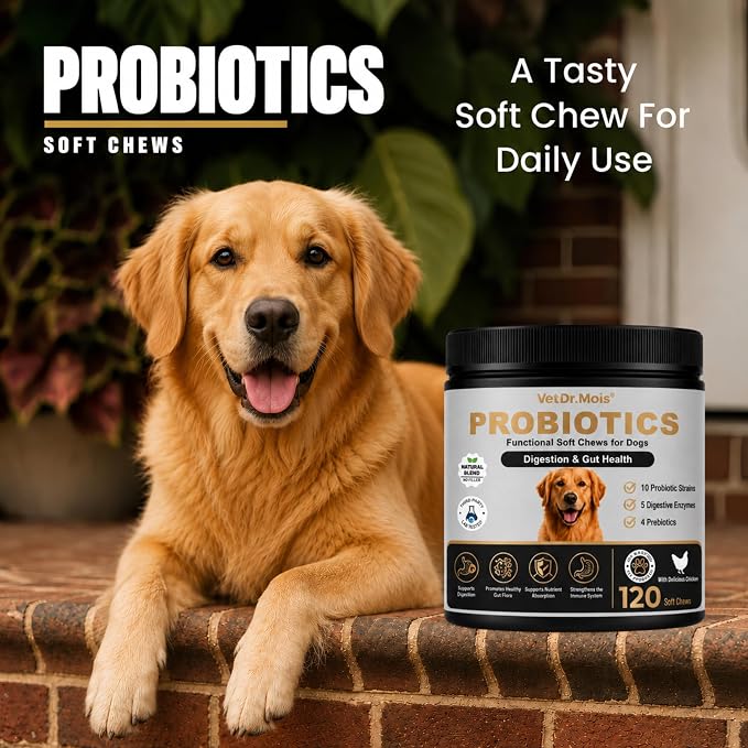 VetDr.Mois® Probiotics for Dogs, 120 Soft Dog Probiotic Chews for Dogs Gut Health Digestive & Immune Support, Dog Probiotics for Yeast Itchy Skin with Digestive Enzymes, Constipation & Diarrhea Relief