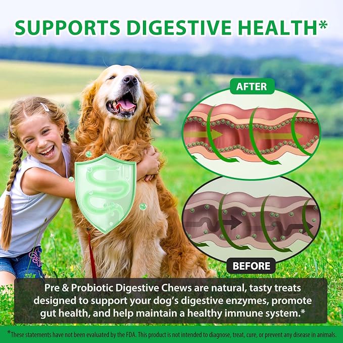 Probiotics for Dogs Chews – Digestive & Gut Health Support, Helps Maintain Stool Quality & Balance During Food Changes, with Prebiotics & Enzymes, Chicken Flavor, 120 Soft Chews