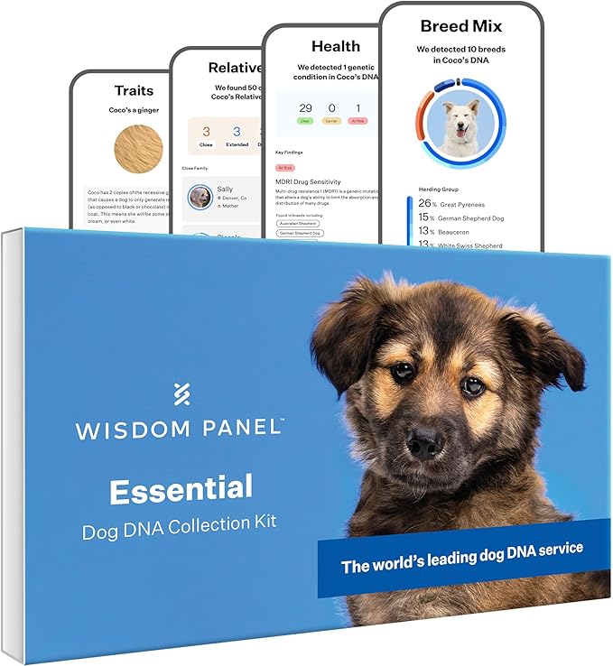 Wisdom Panel Essential DNA Test Kit, 1-Pack