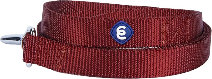 Blueberry Pet Essentials Fired Brick Dog Leash for Small -5' * 5/8" Dogs | Heavy Duty Nylon Lead | Lightweight Puppy & Cat Leash for Walking & Training