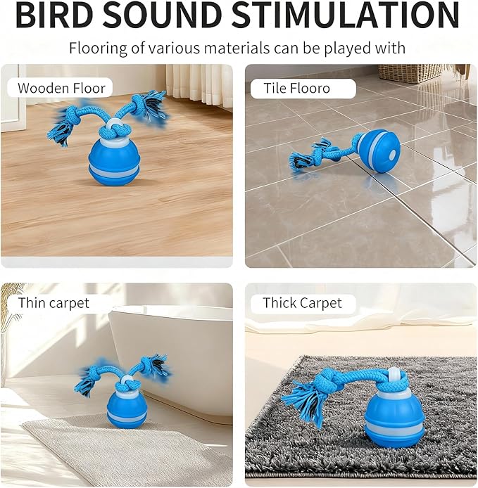 2 Pack Interactive Dog & Cat Ball, Auto Chirping, Rechargeable, Self Play | Motion activated, chirp sound, USB-C fast charge, indoor play, boredom relief for small dog & cat, blue orange 2 pack