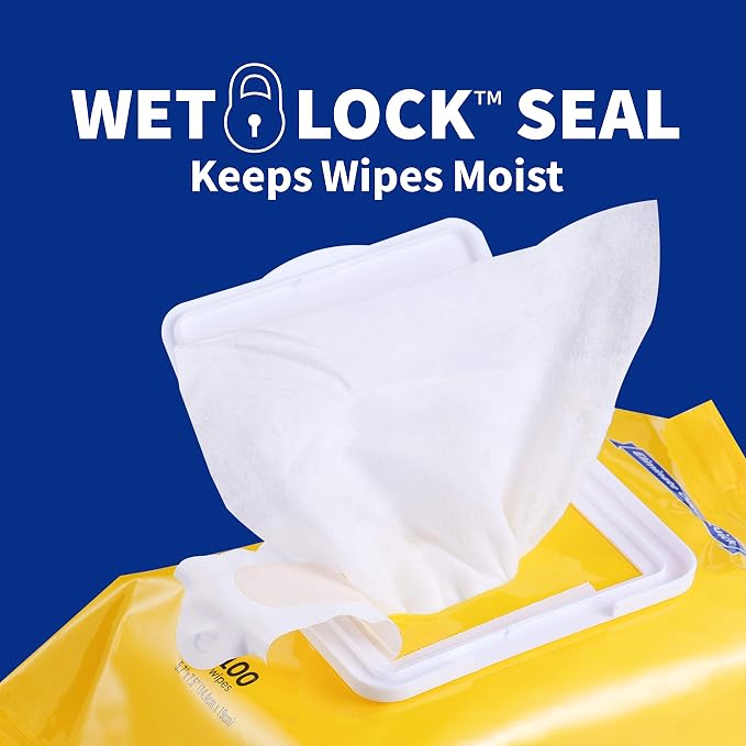 Wet Ones for Pets Deodorizing Dog Grooming Wipes, Wet Lock Seal, 100 Count
