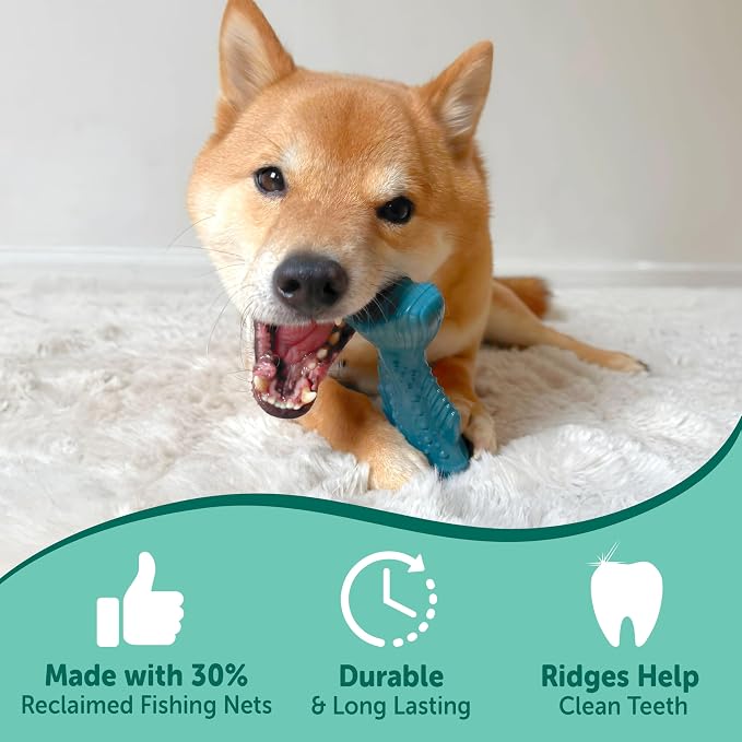 Nylabone Power Chew Love Our Oceans Bundle Dog Chew Toys, Medium, 3 Count | Bully stick, bacon, & salmon flavor, variety of shapes, durable chew toys, long lasting, for dogs up to 35 lbs
