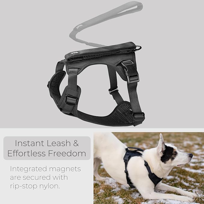 TUG Grab Dog Harness with Built-in Magnetic Traffic Leash (XL/Black) | Padded Magnetic Traffic Handle | Dual Leash Clips | 4-Point Adjustable Fit | Durable Nylon
