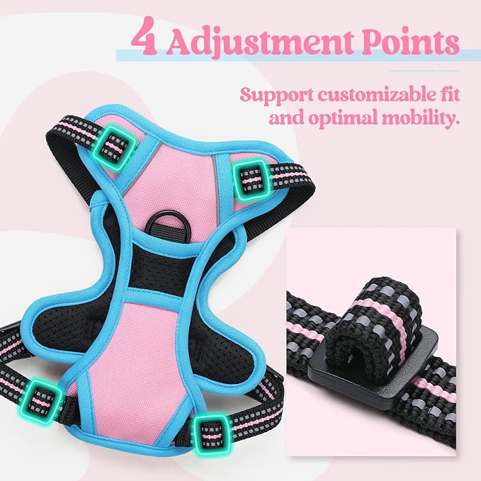 rabbitgoo Dog Harness, No Pull for Small Dogs with 2 Leash Clips, Pet Vest | No Choke with Handle, Adjustable Soft Padded, Reflective, Easy Control for Walking, Pink & Blue, X-Small