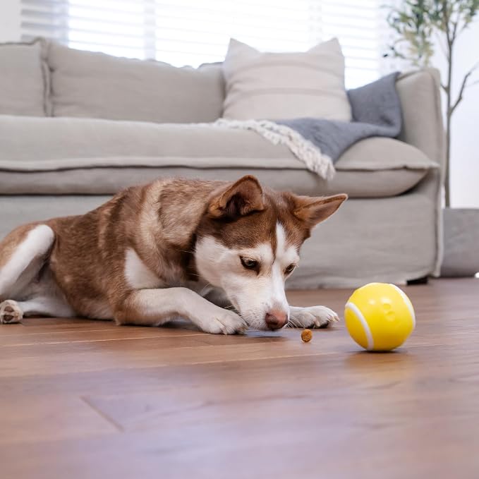 Outward Hound by Planet Dog Sport Ballz Tennis Ball Treat-Dispensing Fetch Ball Dog Toy (Pack of 2)
