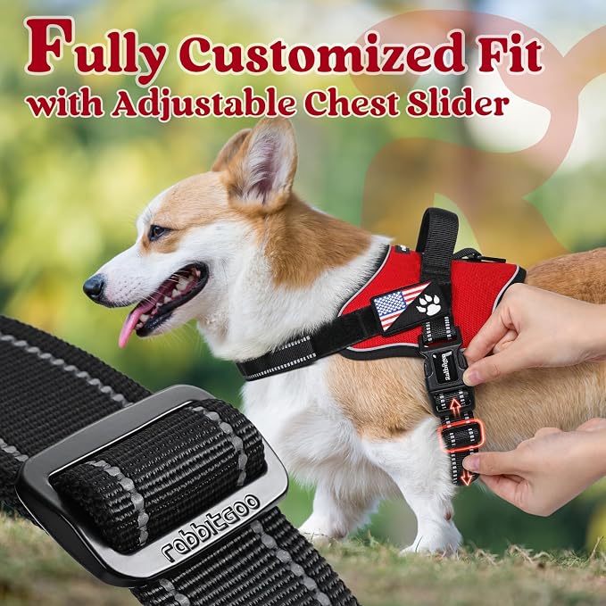 rabbitgoo No Pull No Choke Pet Vest, Adjustable Pet Harness with Molle | Large Sized Dog Harness, Reflective, Easy Wearing with One Buckle for Walking, Training, Red, L