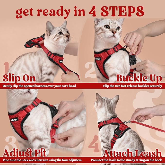 rabbitgoo Cat Harness and Leash Set, Escape Proof Vest, Red | Soft Breathable Mesh, Easy Adjustable Fit, Snap Buckles, Sturdy Clip, Reflective Strips, for Average Cats Walks, S