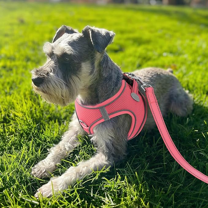 Joytale Step-in Dog Harness, Soft Breathable Mesh, Pink L | Adjustable Fit for Small Dogs, Easy Step-in with Secure Fastener, Even Chest Pressure, Reflective For Night Safety, Washable
