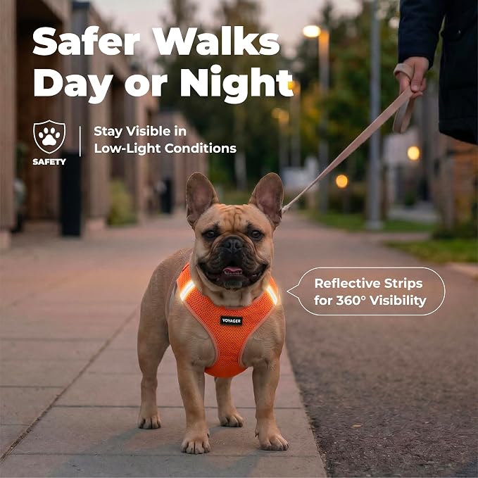 Voyager Step-in Air Dog Vest Harness - Orange, Small | 14.5-16" in Chest, Reflective Bands, All Weather Breathable Air Mesh, Cats Compatible, Lightweight, Fast Drying
