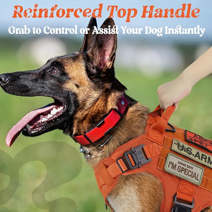 rabbitgoo Tactical Dog Harness for Large, Heavy Duty Military No Pull Vest | Sturdy Metal Buckles, 5 Adjustments, Molle System, Powerful Pullers for Training, Hunting, Outdoor, Orange, Large