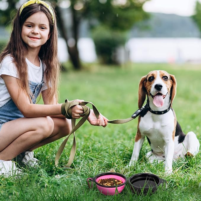 Dog Bowl Collapsible, 2 Pack, with Carabiners, Small, Black & Pink
