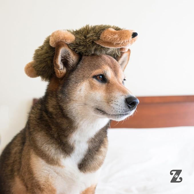 ZippyPaws Loopy No Stuffing Dog Toys to Keep Them Busy - 10" | For Small, Medium, & Large Dogs, Squeaky Pet Toy for Boredom, Unstuffed Chew Toy, Soft Plush Puppy Products, Fox