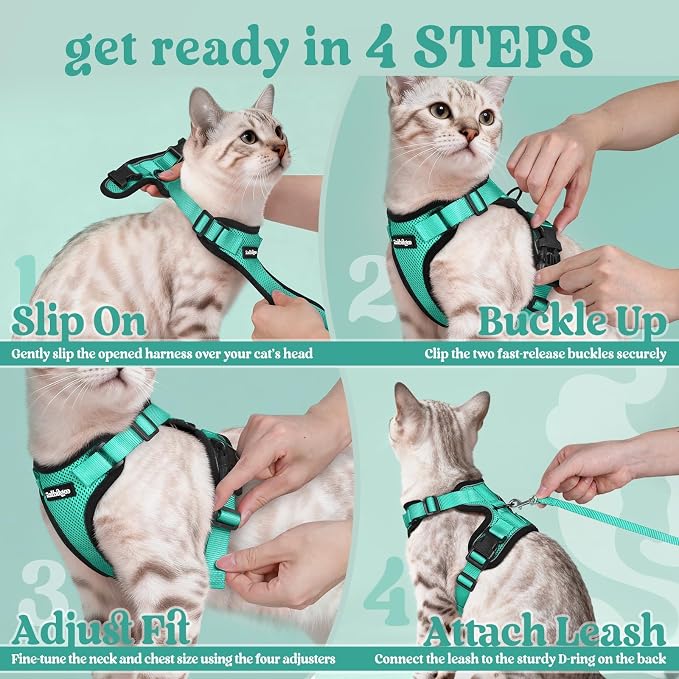 rabbitgoo Cat Harness and Leash Set, Escape Proof Vest, Emerald | Soft Breathable Mesh, Easy Adjustable Fit, Snap Buckles, Sturdy Clip, Reflective Strips, for Average Cats Walks, S