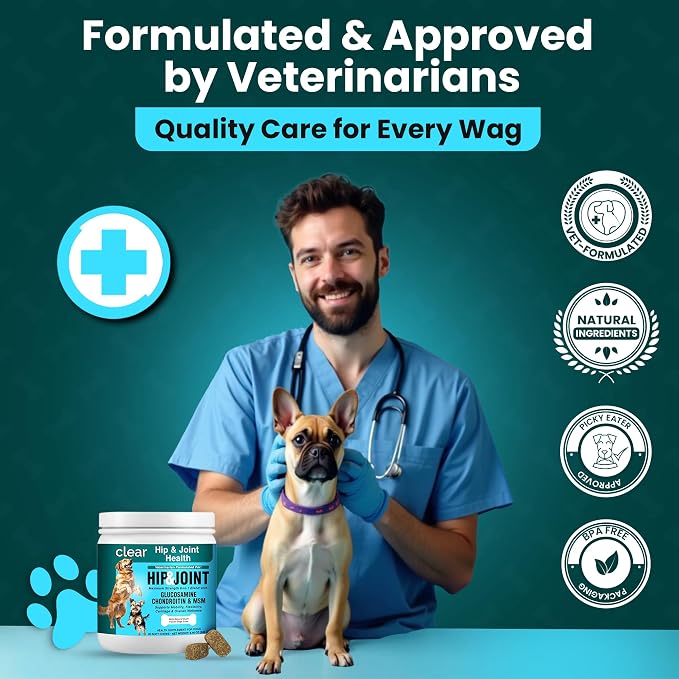Glucosamine for Dogs Hip and Joint Supplement - Chondroitin, MSM, Green-Lipped Mussel - Clear Hip & Joint - Advanced Mobility Cartilage Support, Bone Health - Tasty Chews 60ct - Made in USA