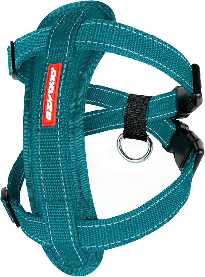 EzyDog Chest Plate No Pull Dog Harness, Escape Proof - Medium, Teal | Car Restraint Included, Comfort EVA Padding, Adjustable for All Breeds, Quick Release Buckles, Reflective Stitching