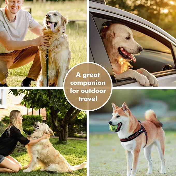 Collapsible Dog Bowls, Travel Double Bowl, Large/100oz