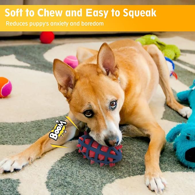 Dog Spiky Toy Ball with Squeaker, Floating, 2-Pack Kit