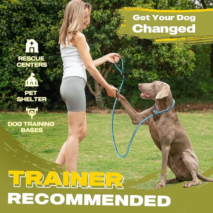 Fida Durable Slip Lead Dog Leash, 6 FT x 1/2" Heavy Duty Loop Comfortable Strong Rope Lead for Large, Medium Dogs, No Pull Pet Training with Highly Reflective, Blue (Pack of 2)