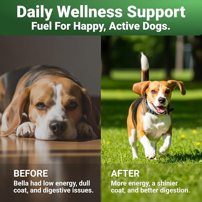 WuffWell Super Greens Food Topper Powder for Dogs - Joint & Skin Support