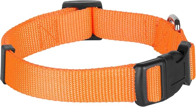 Blueberry Pet Essentials Matching Dog Collar and Double Handle Leash Set in Florence Orange, Adjustable Classic Solid Color Nylon Collar with 5 ft Leash for Small Dogs