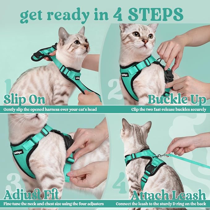 rabbitgoo Cat Harness and Leash Set, Escape Proof Vest, Emerald | Soft Breathable Mesh, Easy Adjustable Fit, Snap Buckles, Sturdy Clip, Reflective Strips, for Kittens & Small Cats Walks, Xxs