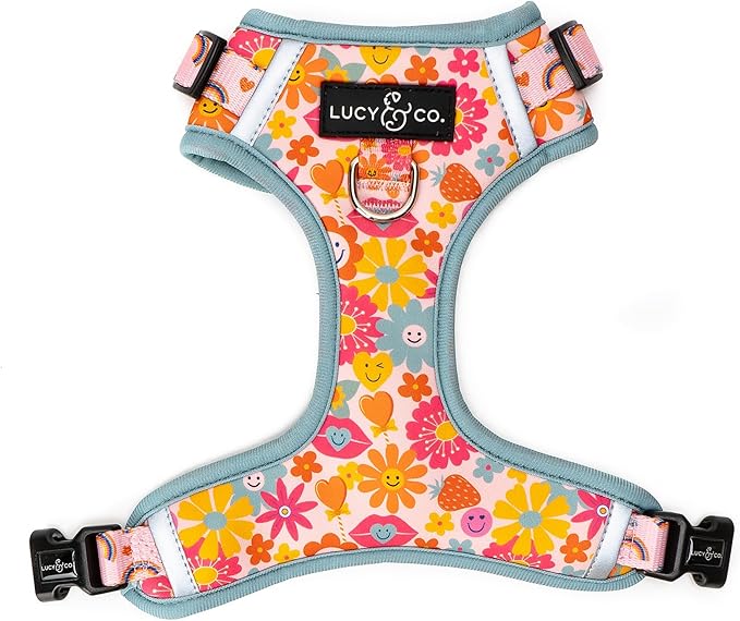 Lucy & Co. Cute No-Pull Y2K Baby Harness - Stop Pulling & Walk Easy - Harness Available in XS-XL for Small, Medium, and Large Dogs - Y2K Baby (X-Large)