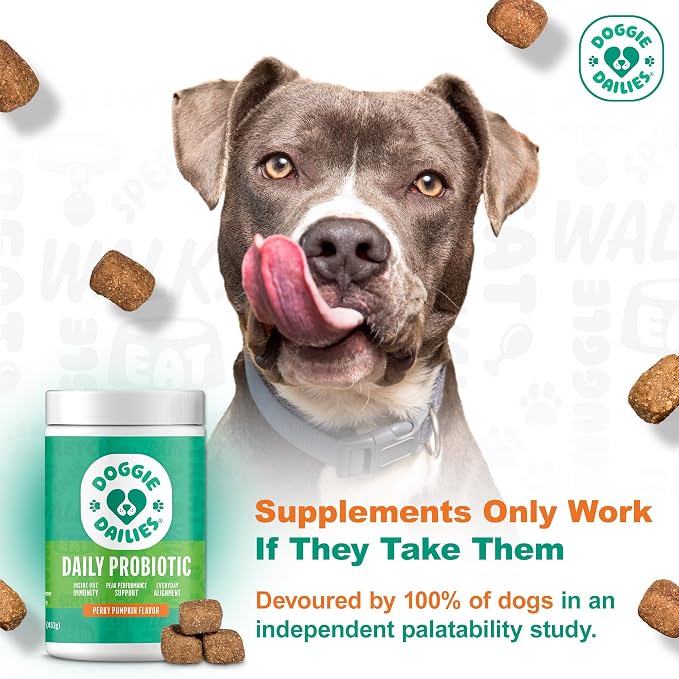 Doggie Dailies Probiotic Soft Chews for Dogs, Pumpkin, 225 Count