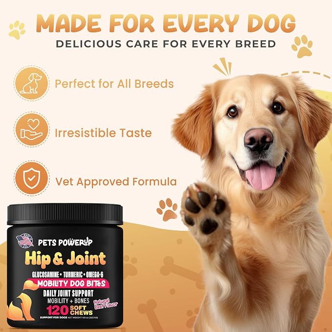 Hip & Joint Mobility Dog Vitamins and Supplements (120 Ct) Dog Bites Soft Chews Treats with Glucosamine Chondroitin MSM Turmeric Omega 6 Dog Joint Supplement for Small Medium Large Dogs