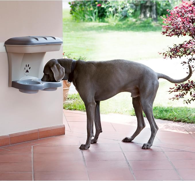 Bama Pet Elevated Food Stand - Medium