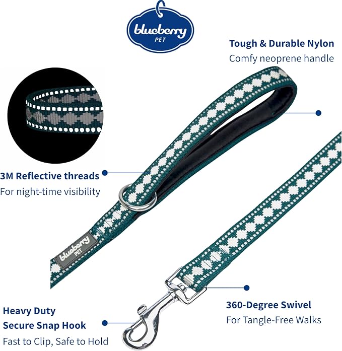 Blueberry Pet 3M Reflective Jacquard Dog Leash with Soft & Comfortable Handle, 5 ft x 5/8", Teal Blue, Small, Leashes for Dogs