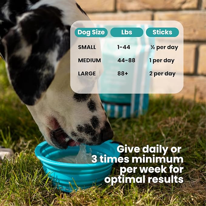 Advanced Joint & Hydration Supplement for Dogs – Vet-Approved - Soluble Powder with Collagen, Electrolytes, 7 Active Nutrients & Vitamins – Chicken Broth Flavor (Up to 4 Weeks Supply)