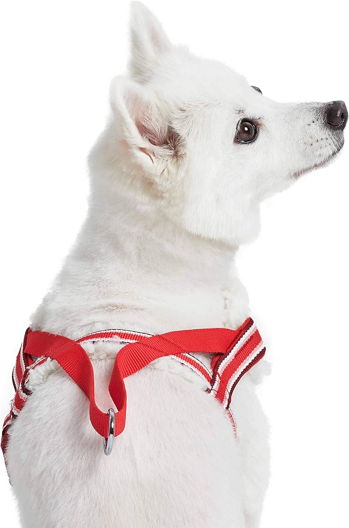 Blueberry Pet Soft & Comfy Multi-Colored Stripe Fleece Padded Chest Dog Harness, Chest Girth 20.5" - 26", Red, Medium, Adjustable No Pull Training Harness for Dogs