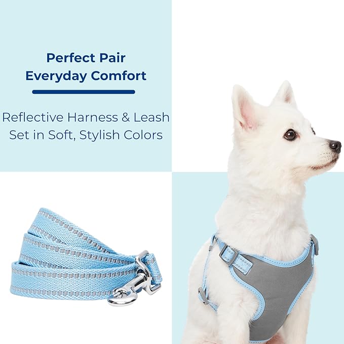 Blueberry Pet Matching Reflective Harness and Leash Set | Adjustable Pastel Vest with Lead for Dogs – Great Value Gift Set | Adjustable Baby Blue Vest for Small Breeds