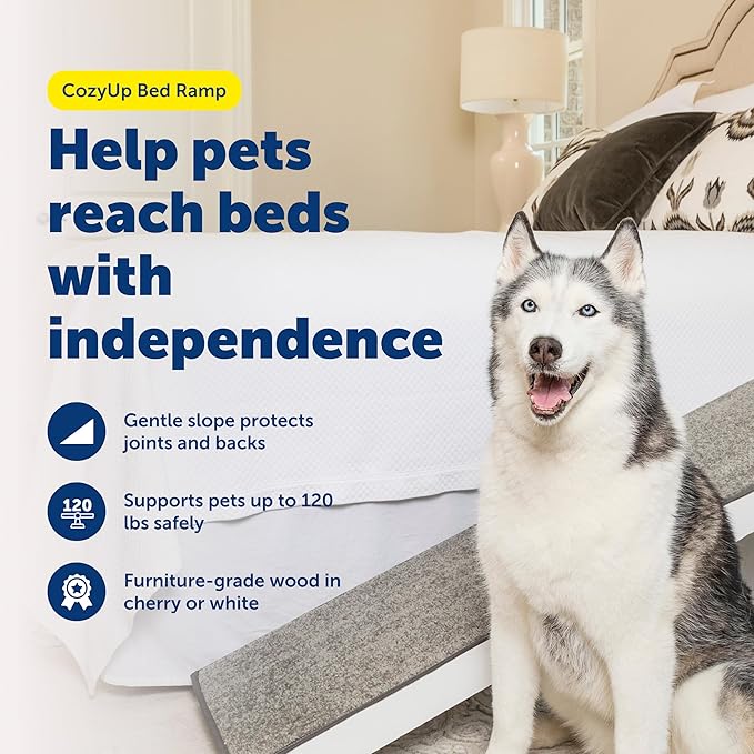 PetSafe CozyUp Wooden Pet Bed Ramp, White | Durable Wood Ramp with High-Traction Carpet Surface, for Small Dogs & Senior Dogs/Cats Up to 120 Lb, 70"L x 16"W x 25"H