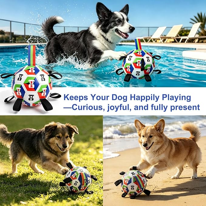 Rensh Dog Soccer Ball with Straps 6 Inch, Interactive Dog Ball for 20-40 lb | Outdoor and Indoor, PU Material, Erratic Bounce, Buoyant Water Toy, Pump Included, Not for Aggressive Chewers