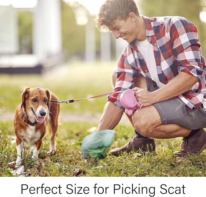 Home Compostable Dog Poop Bags, Plant-Based Dog Waste Bags - 255 Count, Extra Thick & Leak Proof, Unscented Flat Bags, Biodegradable & Eco-Friendly 9 x 13 Inches
